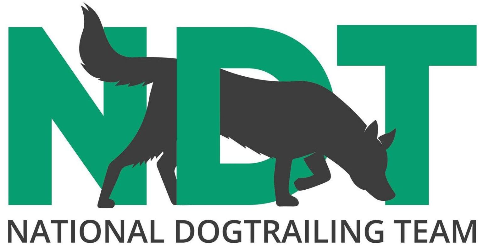 NDT Logo